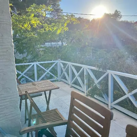Family And Pet Friendly House
